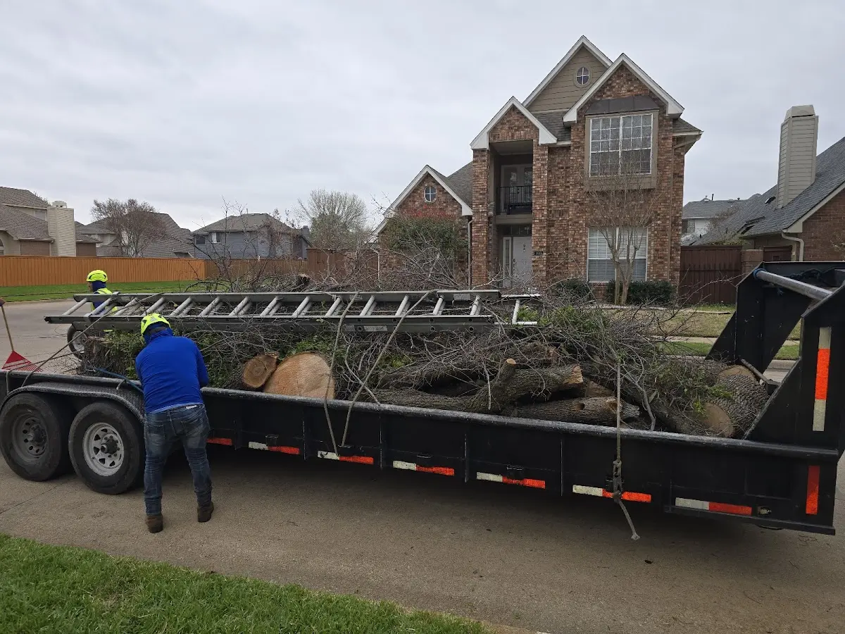 Expert Tree Fertilization with proper safety equipment in Drayton Plains